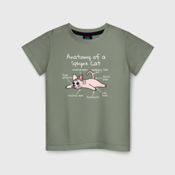 Детская футболка хлопок Анатомия кошки сфинкса