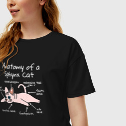 Женская футболка хлопок Oversize Анатомия кошки сфинкса - фото 2