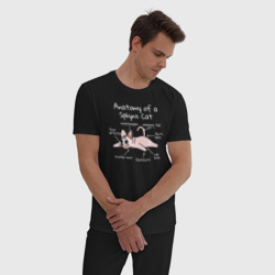 Мужская пижама хлопок Анатомия кошки сфинкса - фото 2