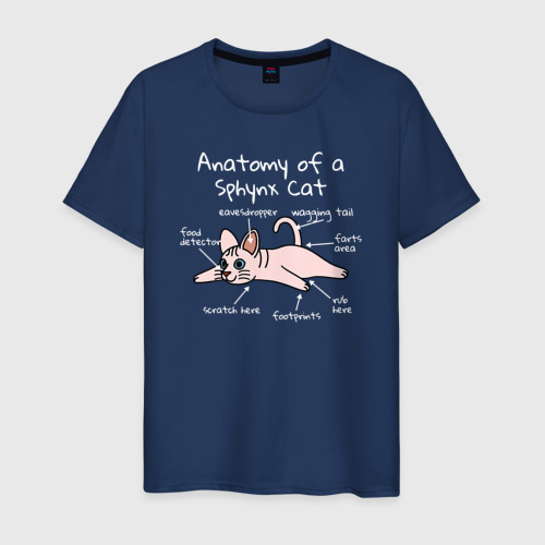 Мужская футболка из хлопка с принтом Анатомия кошки сфинкса, вид спереди №1