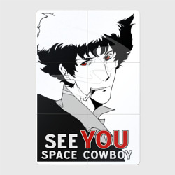 Магнитный плакат 2Х3 Spike Spiegel