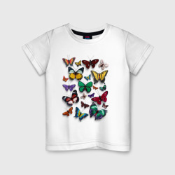 Детская футболка хлопок Разноцветные бабочки 3d эффект