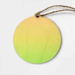 Деревянная игрушка круг Gradiend yellow-green