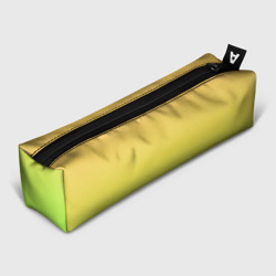 Пенал школьный 3D Gradiend yellow-green