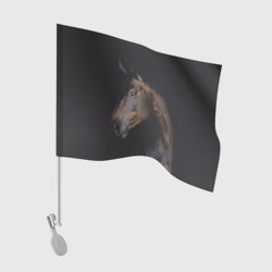 Флаг для автомобиля Лошадь. Благородство