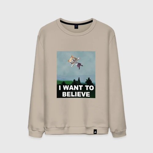 Мужской свитшот хлопок Neco Arc want to believe