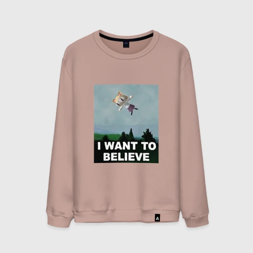 Мужской свитшот хлопок Neco Arc want to believe