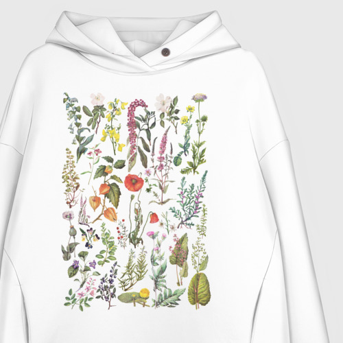 Женское худи Oversize хлопок Винтажная иллюстрация разных растений Ботаника, цвет белый - фото 3