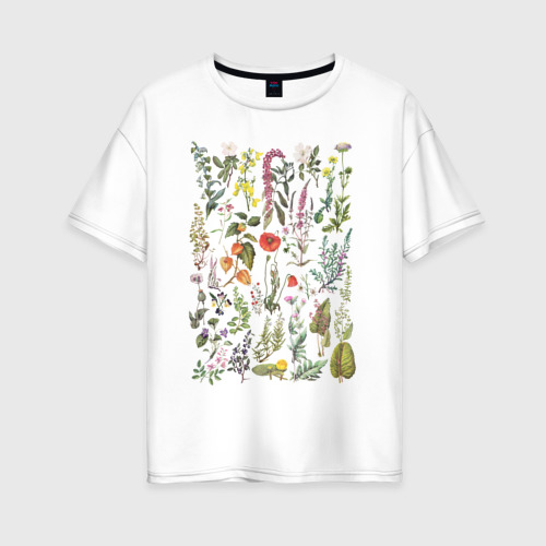 Женская футболка хлопок Oversize Винтажная иллюстрация разных растений Ботаника