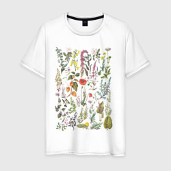 Мужская футболка хлопок Винтажная иллюстрация разных растений Ботаника
