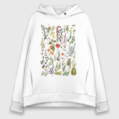 Женское худи Oversize хлопок Винтажная иллюстрация разных растений Ботаника, цвет белый