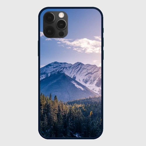 Чехол для iPhone 12 Pro Горы Лес Солнце