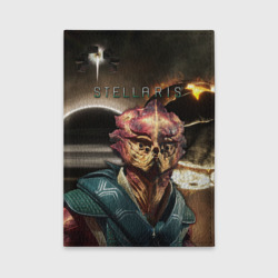 Обложка для автодокументов Stellaris Стелларис
