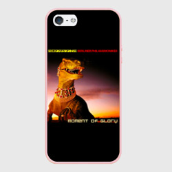 Чехол для iPhone 5/5S матовый DVD Moment Of Glory - Scorpions feat. Berliner Philharmoniker