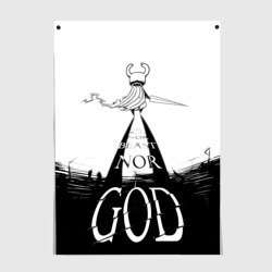 Постер Не жук, не зверь, но Бог Hollow Knight