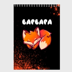 Скетчбук Варвара лисичка Арт