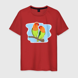 Птицы Неразлучники – Мужская футболка хлопок с принтом купить со скидкой в -20%