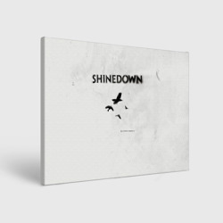Холст прямоугольный The Sound of Madness - Shinedown