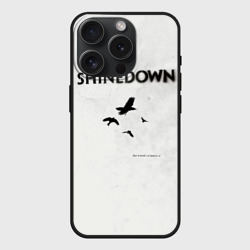 Чехол силиконовый для Apple iPhone 15 Pro матовый The Sound of Madness - Shinedown