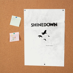 Постер The Sound of Madness - Shinedown - фото 2