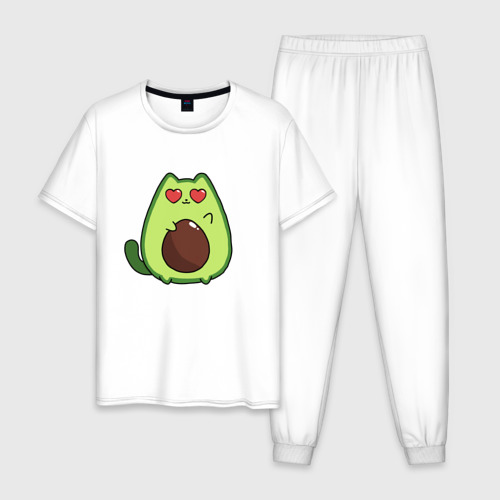 Avo cat o