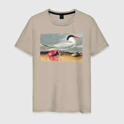 Cayenne Tern Чайка и краб – Мужская футболка хлопок с принтом купить со скидкой в -20%