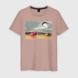 Мужская футболка хлопок Cayenne Tern Чайка и краб