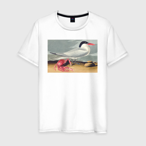 Мужская футболка из хлопка с принтом Cayenne Tern Чайка и краб, вид спереди №1
