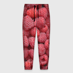 Мужские брюки 3D Малина - ягоды
