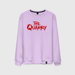 Мужской свитшот хлопок The Quarry logo