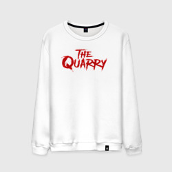 Мужской свитшот хлопок The Quarry logo