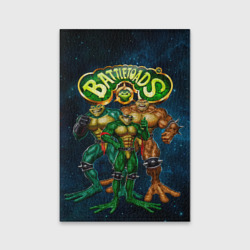 Обложка для паспорта матовая кожа Rare - Battletoads