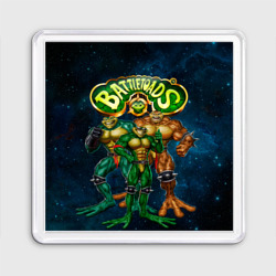 Магнит 55*55 Rare - Battletoads