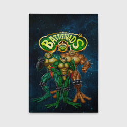 Обложка для автодокументов Rare - Battletoads