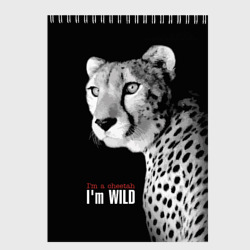Скетчбук I'm a cheetah I'm wild