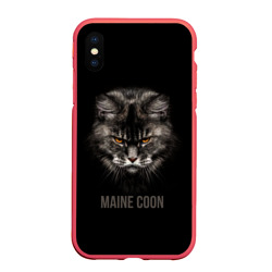 Чехол для iPhone XS Max матовый Maine coon - кот