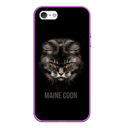 Чехол для iPhone 5/5S матовый Maine coon - кот