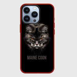 Чехол для iPhone 13 Pro Maine coon - кот