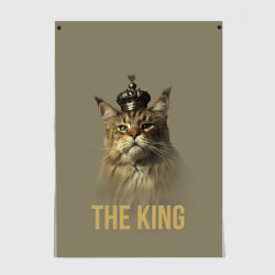 Постер Король котов Мейн-кун