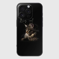 Чехол для iPhone 16 Pro силиконовый с защитой камеры Big cat Maine Coon