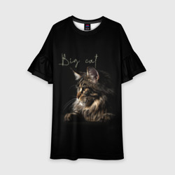 Детское платье 3D Big cat Maine Coon