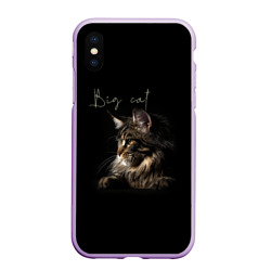 Чехол для iPhone XS Max матовый Big cat Maine Coon
