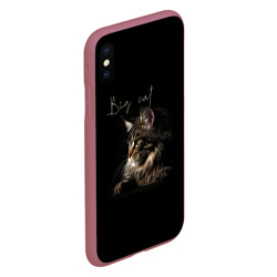 Чехол для iPhone XS Max матовый Big cat Maine Coon - фото 2