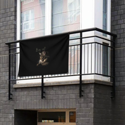 Флаг-баннер Big cat Maine Coon - фото 2