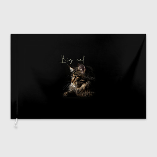 Флаг 3D Big cat Maine Coon - фото 3