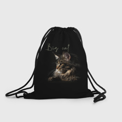 Рюкзак-мешок 3D Big cat Maine Coon