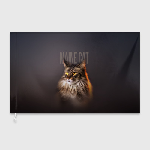 Флаг 3D Maine cat - фото 3