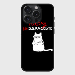 Чехол силиконовый для Apple iPhone 15 Pro Мax матовый Неприветливый кот