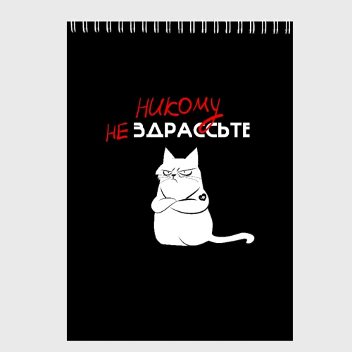 Скетчбук Неприветливый кот
