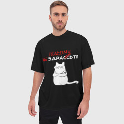 Мужская футболка oversize 3D Неприветливый кот - фото 2